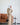 Summer cotton suit - AFRODA