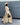 All Seasons Dress - afroda
