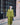 Formal suit jacket and pants - AFRODA
