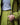 Formal suit jacket and pants - AFRODA