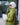 Formal suit jacket and pants - AFRODA