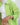 Light summer two - piece suit - AFRODA