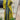 Trench Caftan Ramadan 2025 - Limited edition - afroda